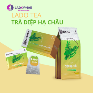 LADO TEA TRÀ DIỆP HẠ CHÂU Ladophar 100 Túi Lọc